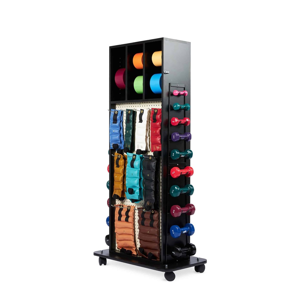 Multi-Purpose Combination Rack w/Mirror
