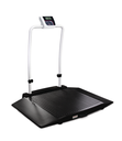 Rice Lake Dual Ramp Wheelchair Scale w/ Handrail