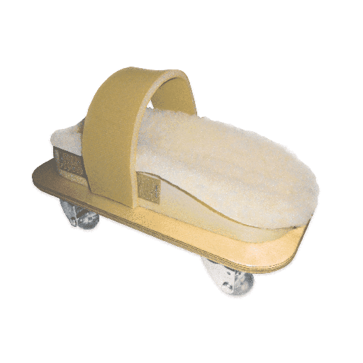 [RPI847102003177] Hand, Shoulder, and Arm Skate
