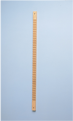 [FAB10-1160] Shoulder Finger Ladder