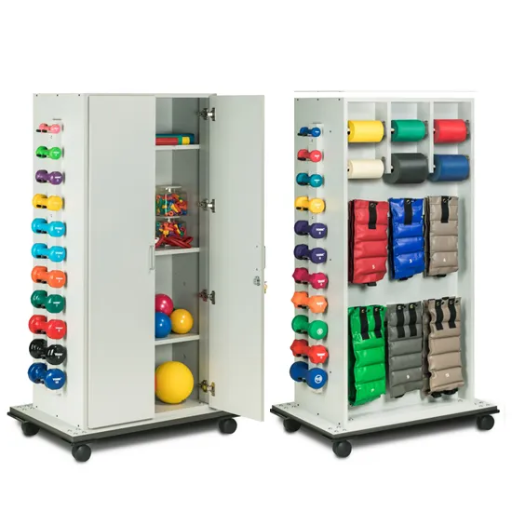 CabinetRac with Doors